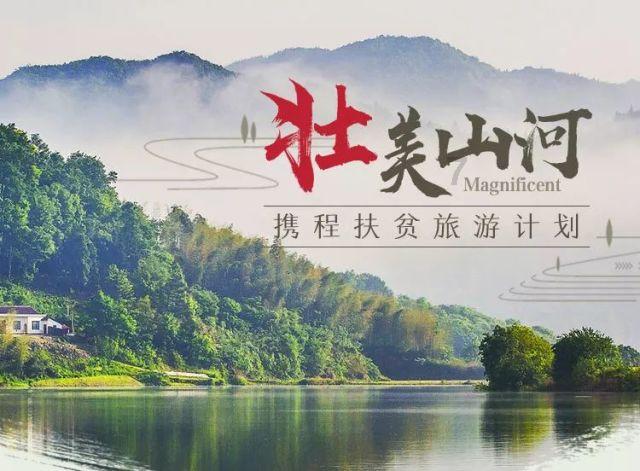 香港升学中心成果|“托管计划”成果亮眼!期末成绩揭晓,超多高分学员!