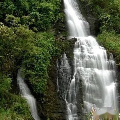 这枚大清铜币价值高达126万,谁将成为下一个幸运儿?